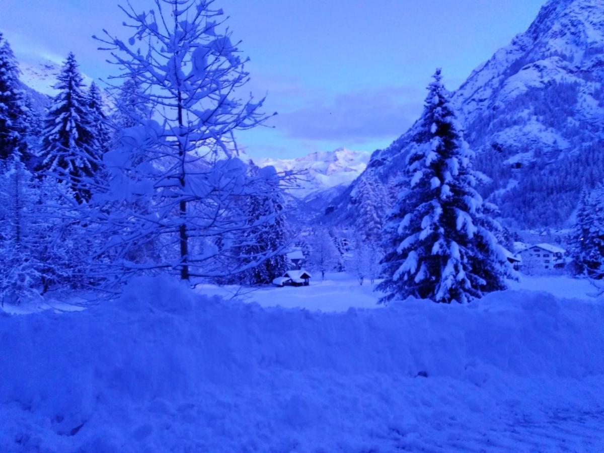 Appartement Quadrifoglio Gressoney-Saint-Jean Kültér fotó